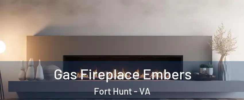  Gas Fireplace Embers Fort Hunt - VA