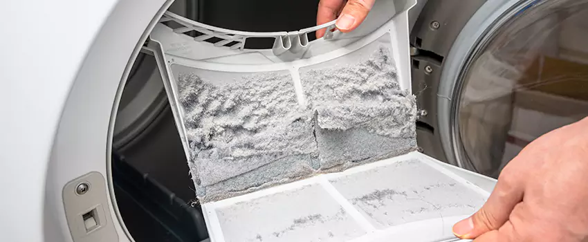 Best Dryer Lint Removal Company in Fort Hunt, Virginia