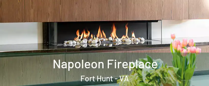  Napoleon Fireplace Fort Hunt - VA