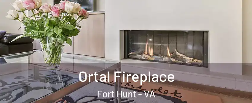  Ortal Fireplace Fort Hunt - VA